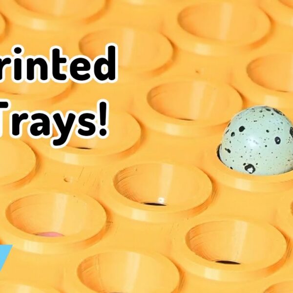 A Custom 3D Printed Tray for Quail Eggs